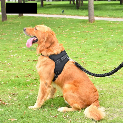 HiKyri Dogs Harness