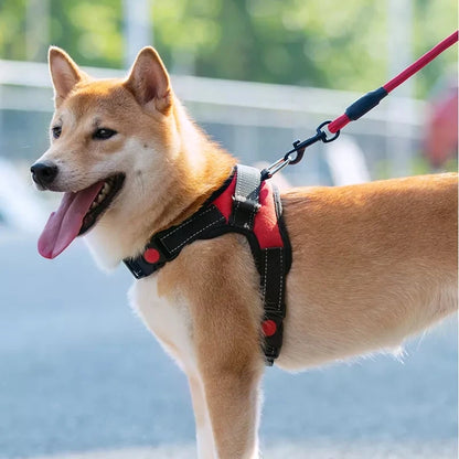 HiKyri Dogs Harness